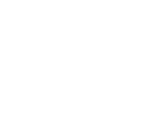 Hallowix Studios pictogram